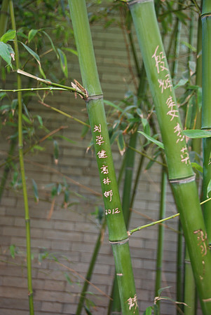 People carved on the bamboo.