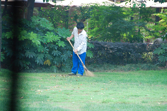 This guy out our window swept the grass with a broom throughout our breakfast time.