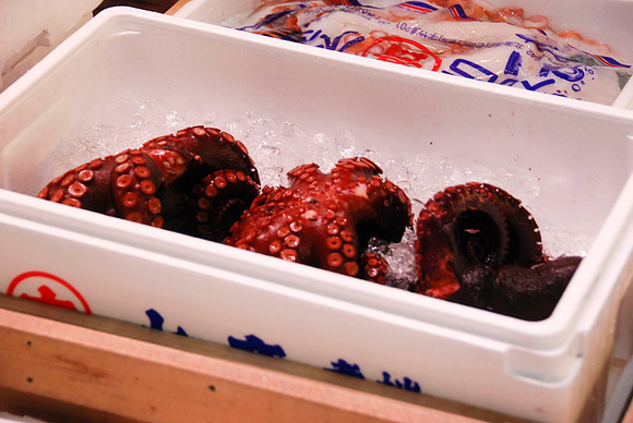 Octopus