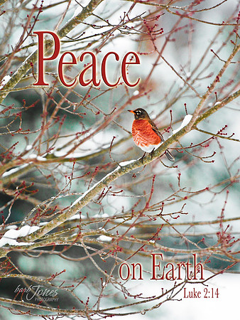 Peace on Earth tile or canvas
