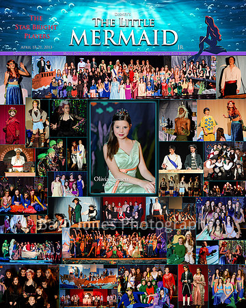 16x20 Personalized Poster $25