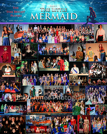 16x20 Show Poster $20