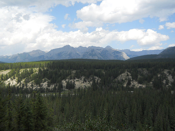 View from the mountain bike trail.
