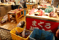 See the huge tuna on the floor?