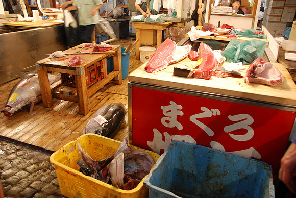 See the huge tuna on the floor?