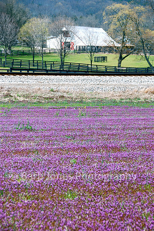 Purple Field Barn