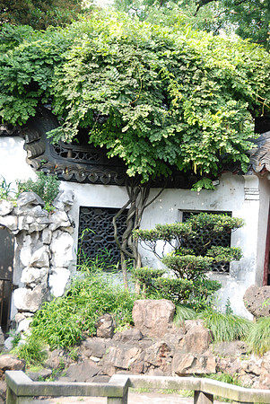 We are in the Yuyuan Gardens.