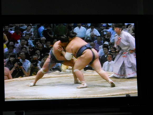Sumo wrestling on TV.  Women in the crowd were dressed in traditional Korean dress; elegant!
