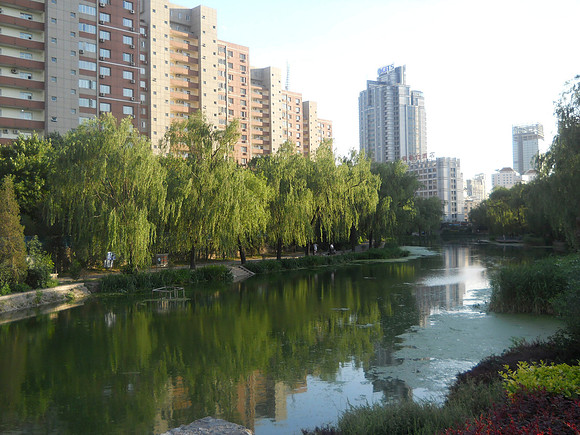 This is the river that Jim walks along on his way to work.