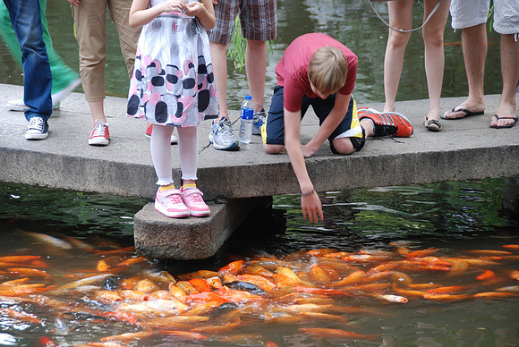 Don't fall in!
