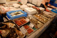 The Ozawa's know a chef who personally took us back into the "inner working" part of the market.  We met him at 7:00 a.m. and followed him back.