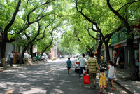 We walked this street next to the Forbidden City and found a great lunch spot.