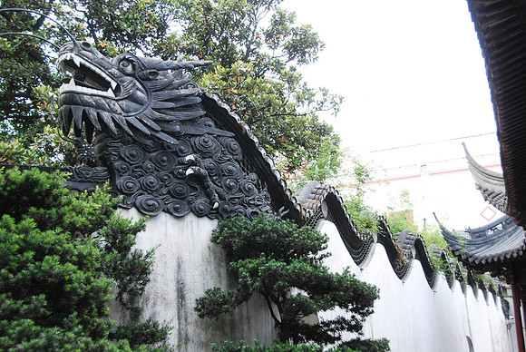 This is a baby dragon. You can tell because it only has three claws