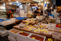 We saw every kind of fish including shell fish and octopus.