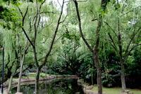 The zoo had gorgeous gardens.