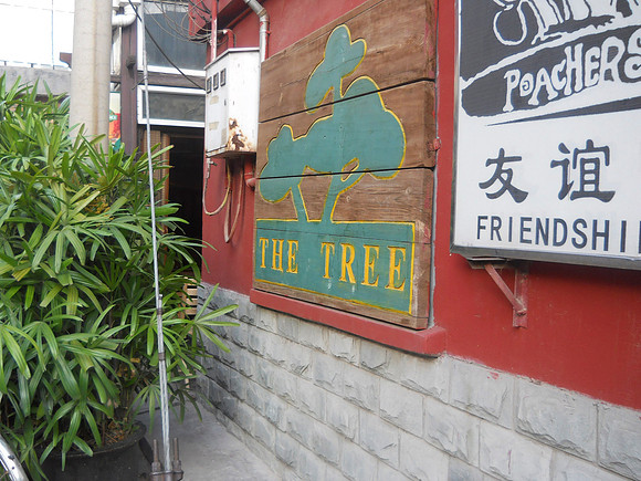 We love The Tree.  It is a beer pub and has the best pizza in Beijing.