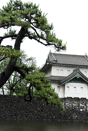 We walked along the outside of the moat for the Imperial Palace.