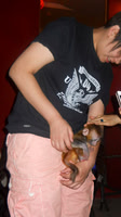 Do you see the tiny monkey this guy has?