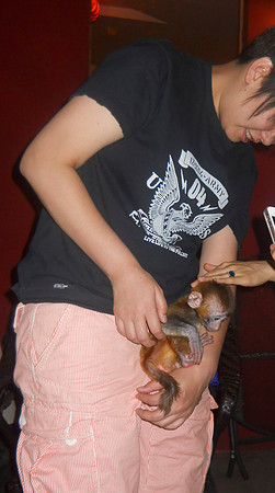 Do you see the tiny monkey this guy has?