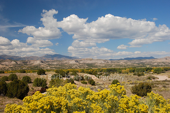 New Mexico Landscape