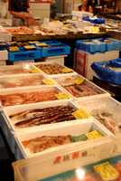 Eel.