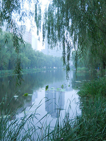 The river that runs along our building.