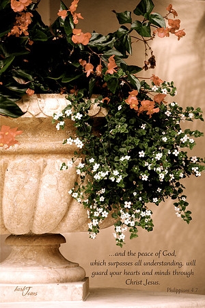 Flower Pot2