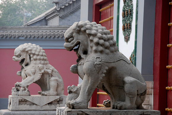 Male lion in foreground with the ball and female lion with the baby lion.
